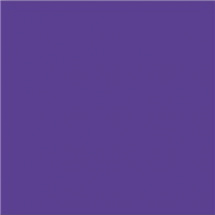 Efcolor 25ml fialový (9371042)
      