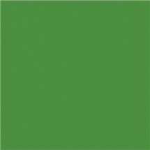 Efcolor 25ml světle zelený (9371063)
      
