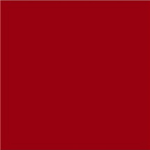 Efcolor 25ml červený (9371028)
      