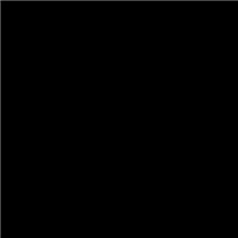 Fólie Color-Decor 2ks černá (9408089)
      