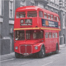 Ubrousek Londýnský autobus 33x33cm (1661179)
      