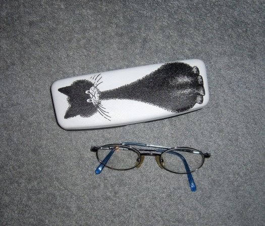Pouzdro na brýle - kočička