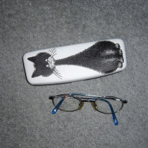Pouzdro na brýle - kočička