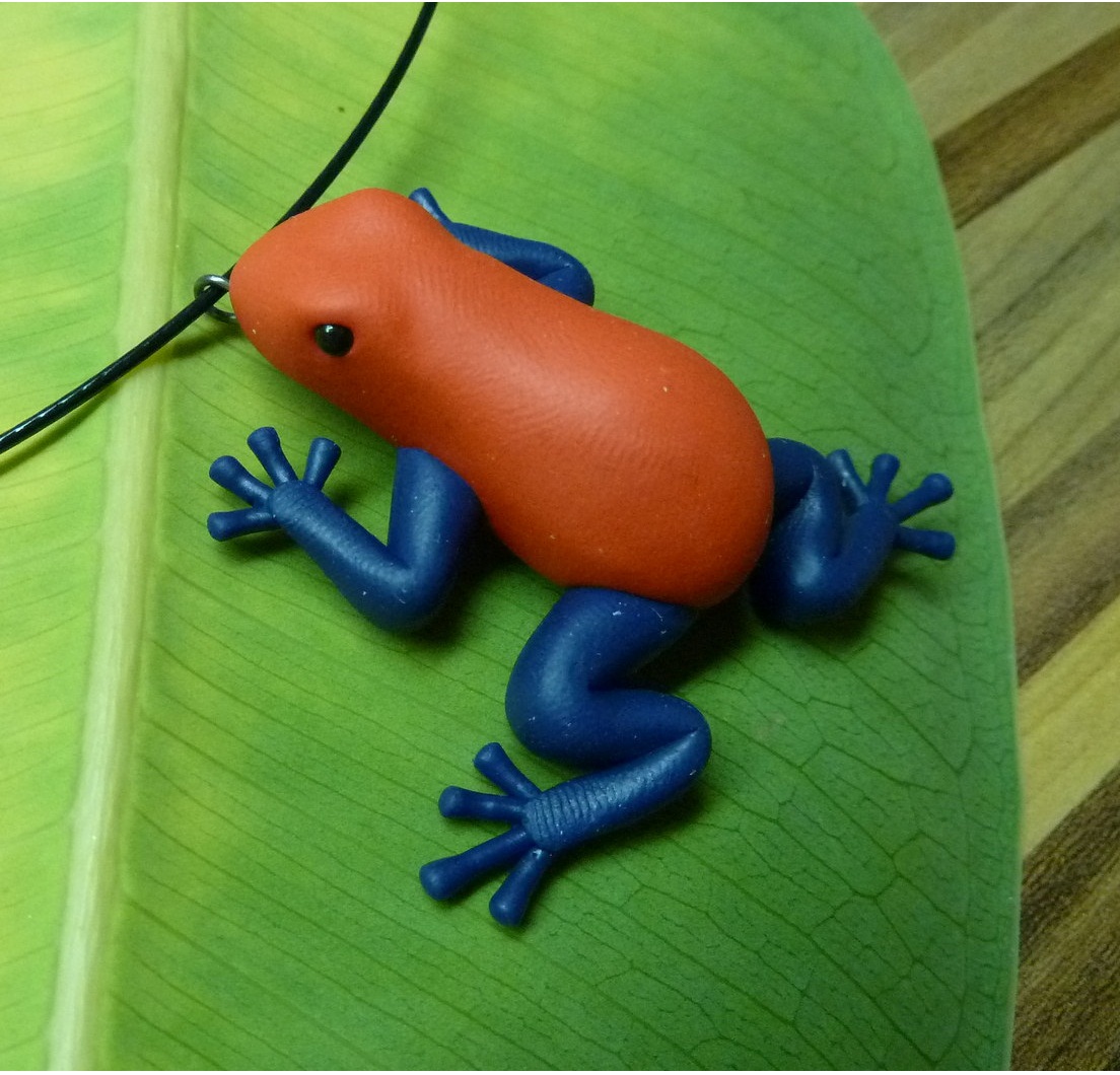 Pralesnička drobná