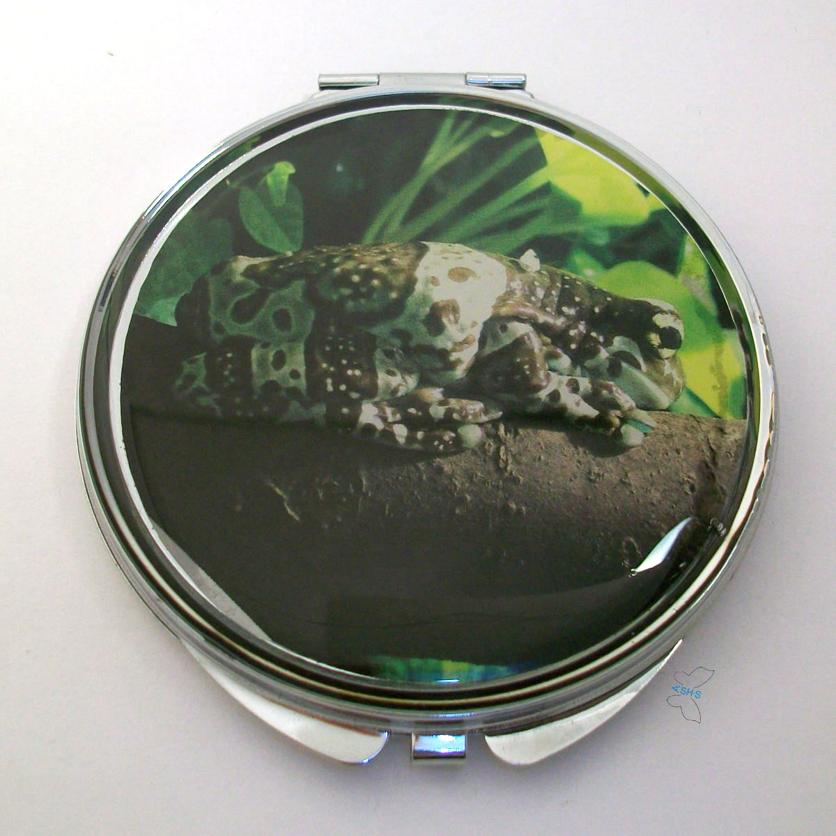 Potkali jsme v (pra)lese ... rosnička