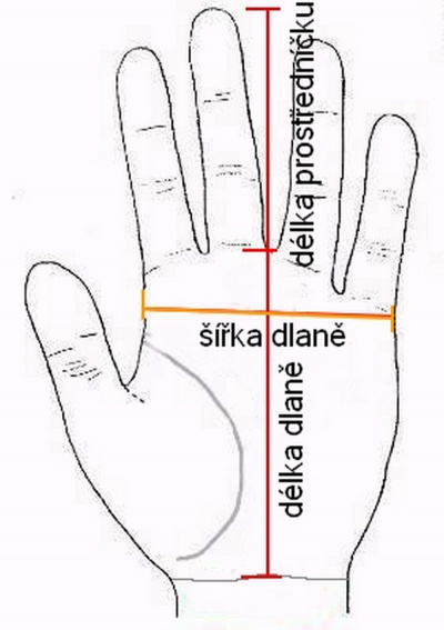 rozměry dlaně